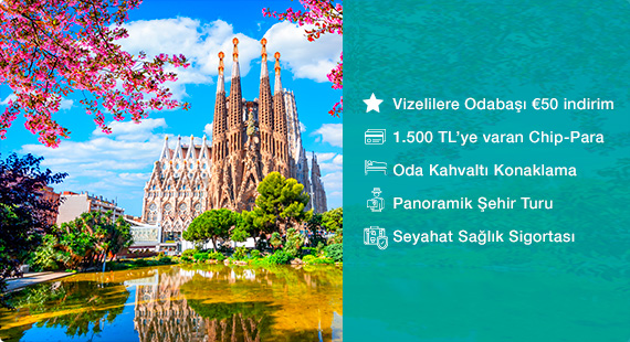 Cruise Turları